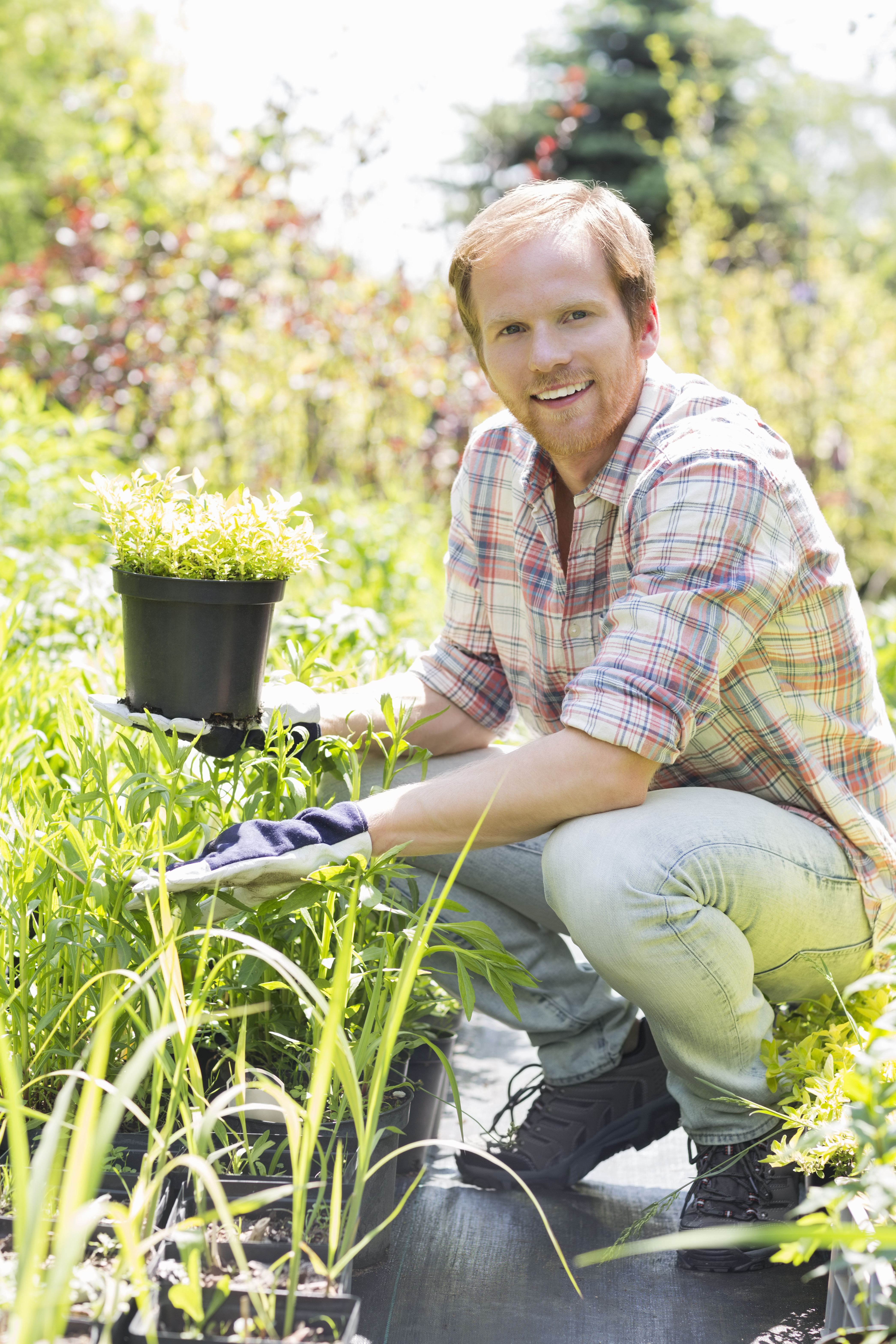 Full-length portrait of happy man holding potted plant at garden